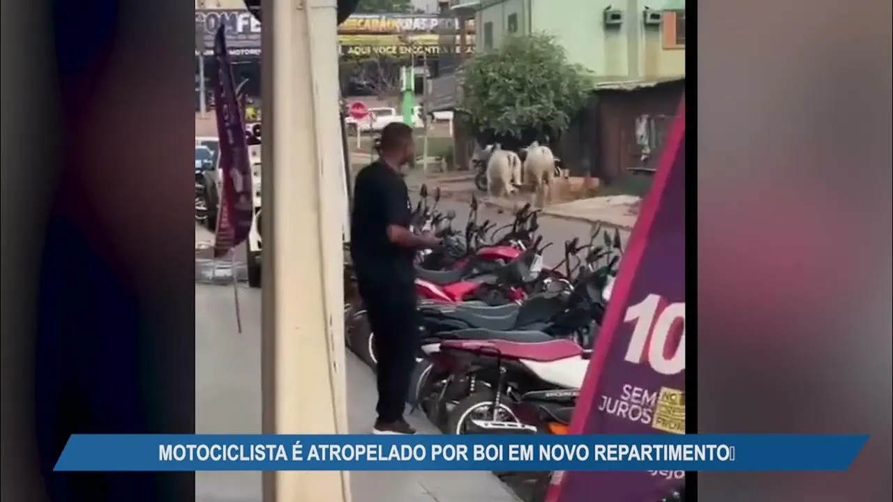 Imagem ilustrativa da notícia Motociclista é ‘atropelado’ por boi e vídeo viraliza no PA
