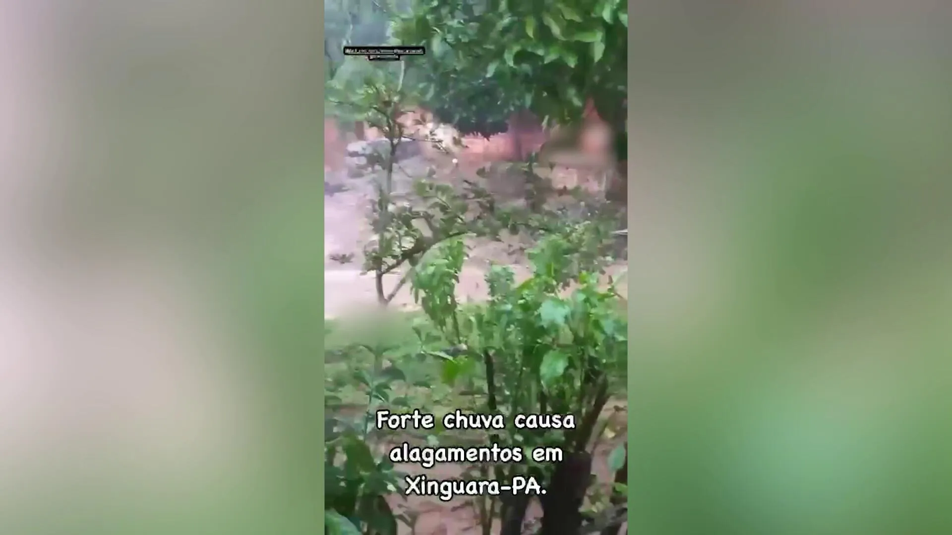 Imagem ilustrativa da notícia Vídeo: Chuvas intensas causam alagamentos no Sul do Pará