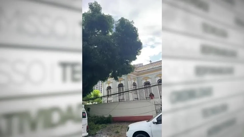 Imagem ilustrativa da notícia Vídeo: árvore cai e destrói ao menos três carros em Belém