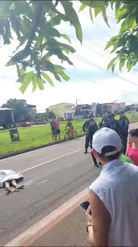 Imagem ilustrativa da notícia Idosa morre após ser atropelada por motociclista em Ananindeua