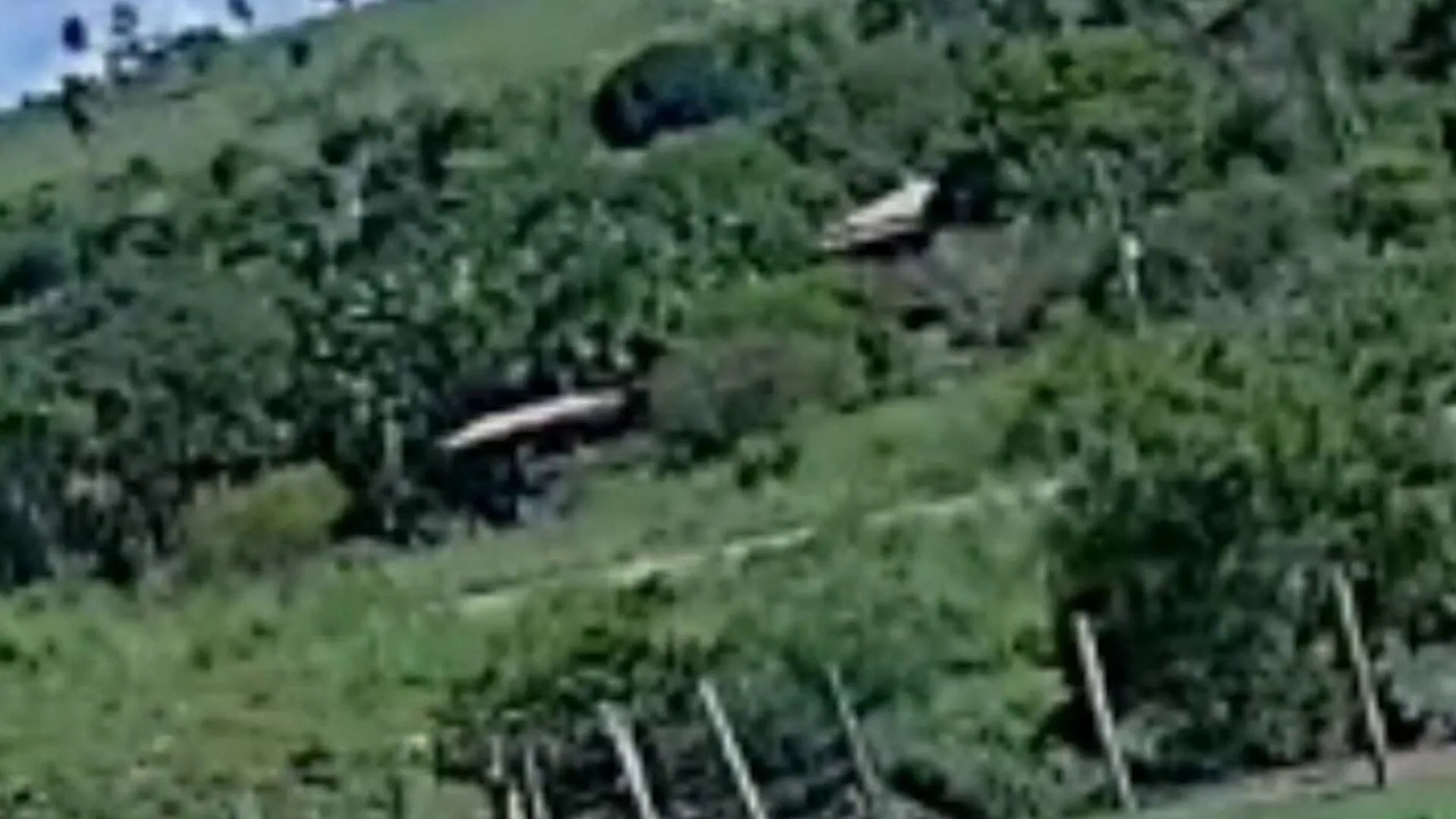 Imagem ilustrativa da notícia Vídeo: Motorista é preso após causar acidente fatal e fugir 