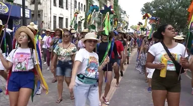 Imagem ilustrativa da imagem Arraial do Pavulagem dá show e agita em ensaio. Veja o vídeo!