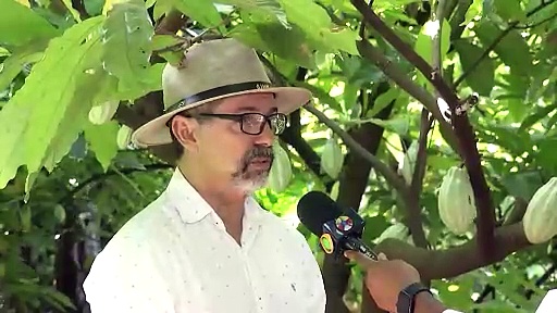 Imagem ilustrativa da notícia: Fábrica de chocolate artesanal paraense é modelo de sustentabilidade