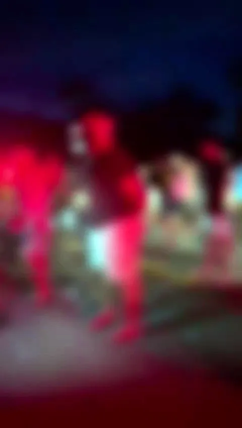 Imagem ilustrativa da notícia Vídeo: acidente deixa três mortos na estrada de Mosqueiro