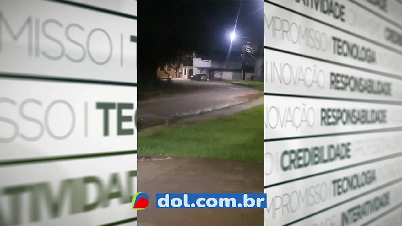 Imagem ilustrativa da notícia Lobo-guará em Ananindeua? Biólogo desvenda e explica aparição de animal