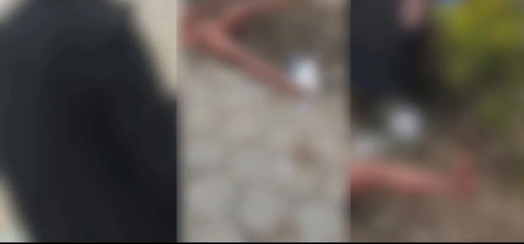 Imagem ilustrativa da notícia Coletores de lixo são suspensos após vídeo com boneca sexual