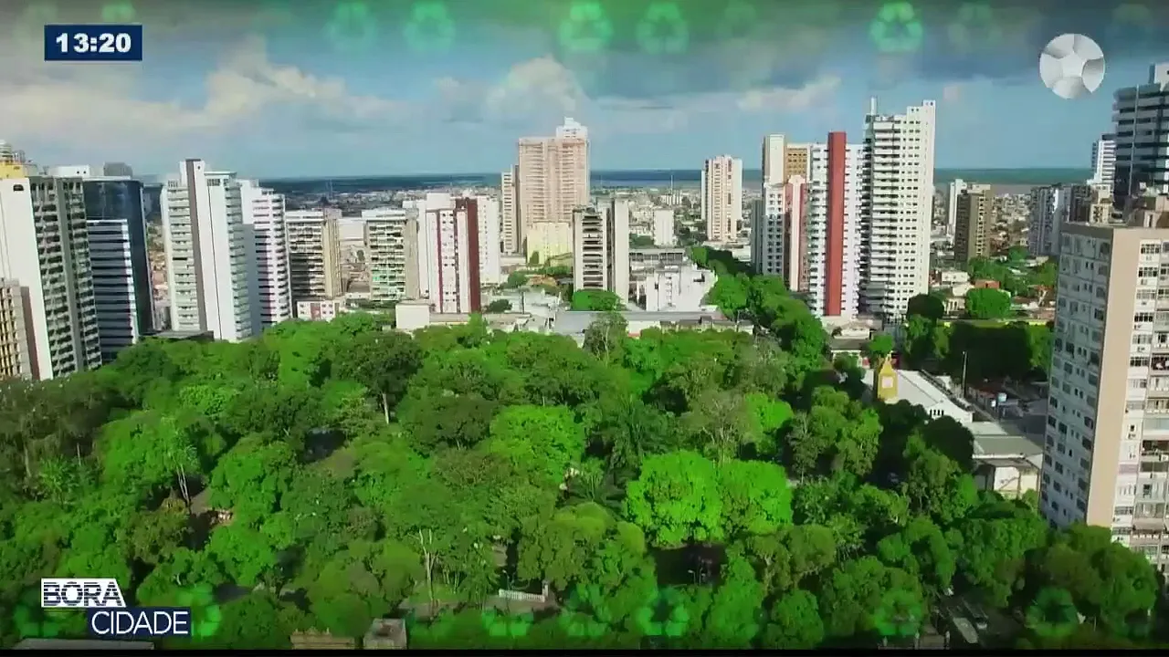 Imagem ilustrativa da notícia: Manejo florestal garante renda e preservação da Amazônia