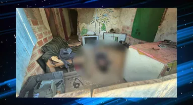 Imagem ilustrativa da imagem VÍDEO: mulher é morta com socos e pontapés em Paragominas