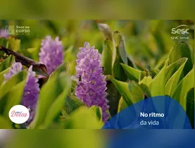 Até o café pode fazer mal de estômago vazio