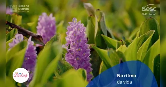 11 de dezembro: o dia que exige decisões conscientes e revela energias intensas.