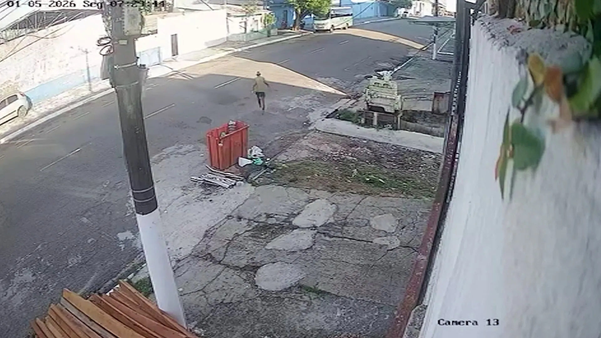 Imagem ilustrativa da notícia: Filhote de cachorro é brutalmente agredido em Icoaraci