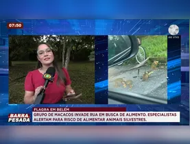 Descubra como Vênus influencia suas escolhas e relacionamentos