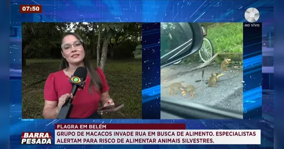 Centro de eventos da cidade recebe público e expositores a partir desta quarta-feira (25)