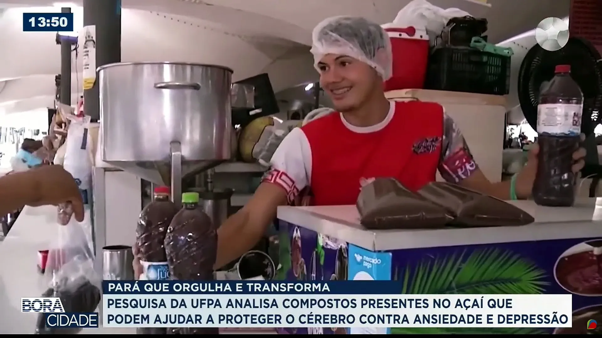 Imagem ilustrativa da notícia: Pesquisa da UFPA revela potencial do açaí para a saúde do cérebro