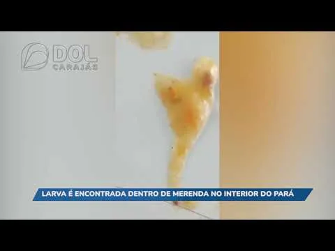 Imagem ilustrativa da notícia Vídeo: larva é encontrada dentro de merenda do IFPA
