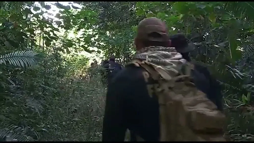 Imagem ilustrativa da notícia Vídeo: operação retira invasores de terra indígena no Pará