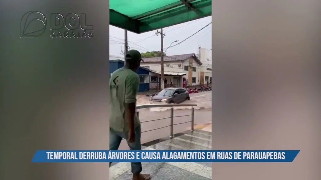 Imagem ilustrativa da notícia Vídeo: temporal derruba árvore e alaga ruas de Parauapebas  