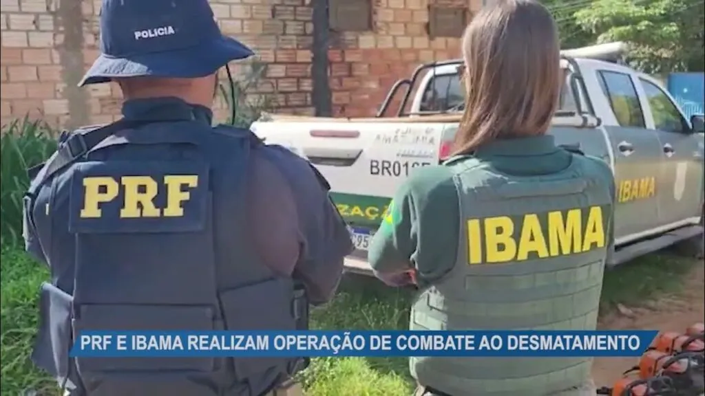 Imagem ilustrativa da notícia Vídeo: Ibama emite mais de 6 milhões de reais em multas