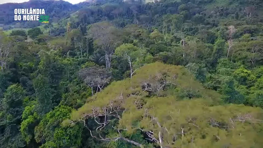 Imagem ilustrativa do vídeo: "Ourilândia 33 anos": Conheça as cachoeiras do rio Cateté