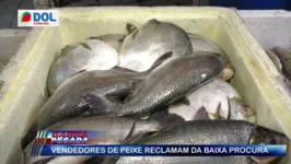 Imagem ilustrativa da notícia Vendedores de peixe reclamam da baixa procura