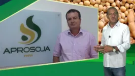 Imagem ilustrativa da notícia DOLPlay: Conheça a cadeia produtiva da soja no Pará