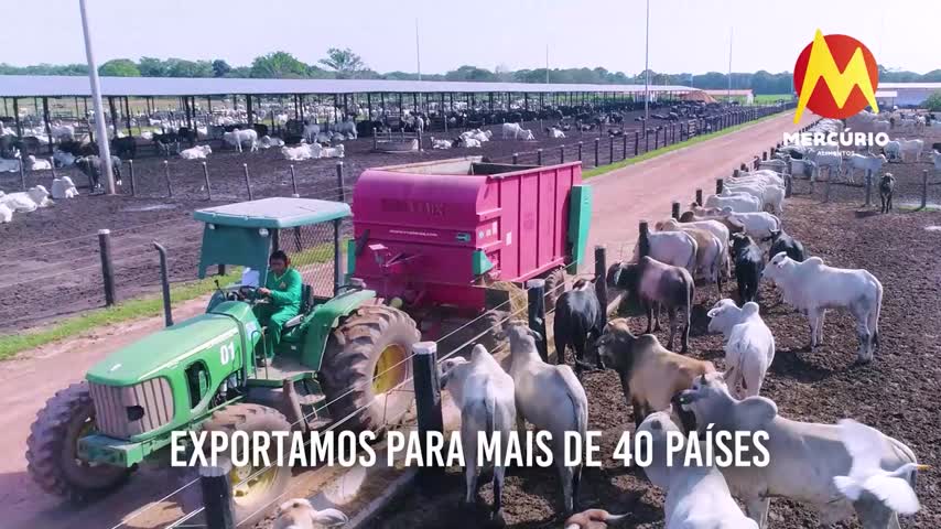 Imagem ilustrativa da notícia: Mercúrio Alimentos: maior exportador do agronegócio paraense