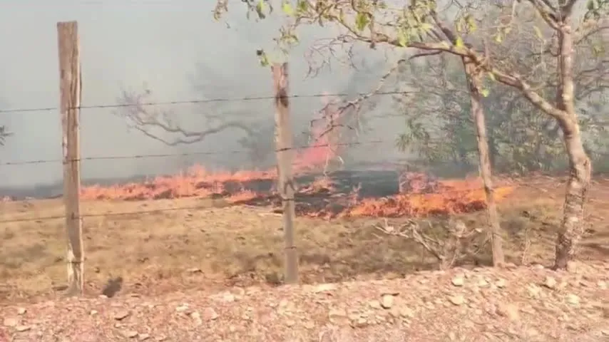 Imagem ilustrativa da notícia Vídeo: Incêndio pode atingir Parque Estadual de Monte Alegre