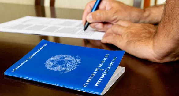 O setor de serviços foi o grande destaque do período, com a criação de 5.991 postos de trabalho, seguido pelo comércio (2.750) e pela indústria (1.687).
