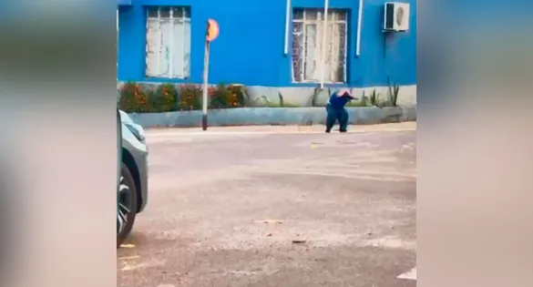 Momento em que abelhas atacam homem que estava em veículo. Ele tenta se proteger o máximo que pode.