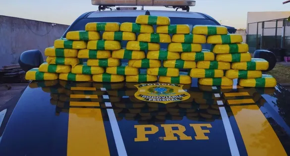 Carga, avaliada em mais de R$ 5 milhões, estava escondida no painel de um Fiat Mobi; cão farejador da Guarda Municipal ajudou a descobrir o entorpecente.