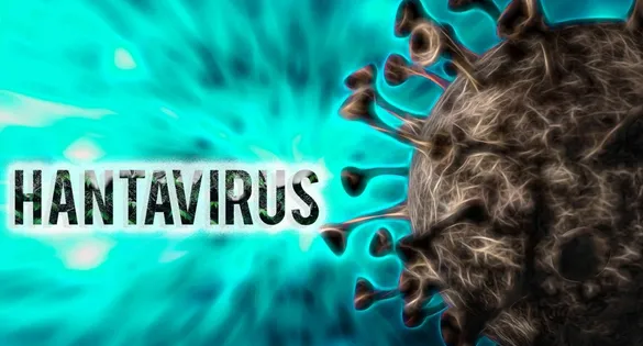 O Hantavírus, agente causador de doenças graves que comprometem os sistemas respiratório e renal