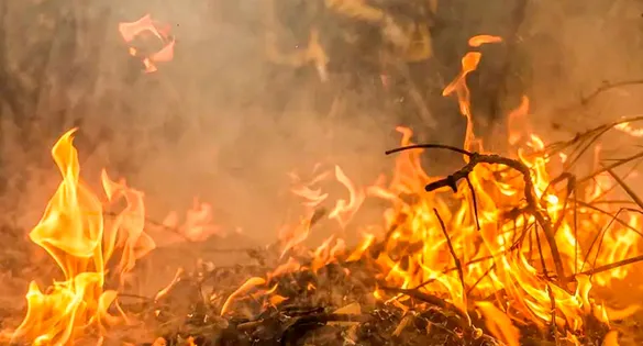 Fumaça provocada por queimada em terreno baldio prejudica a qualidade do ar e a saúde dos moradores em Xinguara.