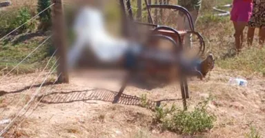 Imagem ilustrativa da notícia Empresário de MT é morto a tiros em fazenda no sul do Pará