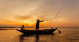 Imagem ilustrativa da notícia Seguro-defeso: novo lote paga mais de 110 mil pescadores