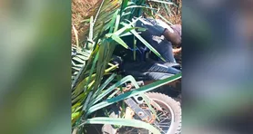 Imagem ilustrativa da notícia O que essa moto escondia? Mistério envolve corpo em mata na PA-279