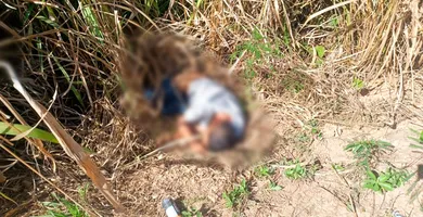 Imagem ilustrativa da notícia Homem sem identificação é achado morto na rodovia PA-279
