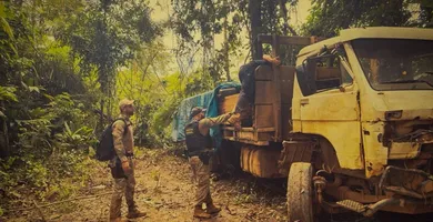 Imagem ilustrativa da notícia Operação da PF combate garimpo e extração de madeira ilegal