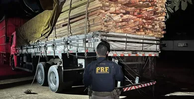 Imagem ilustrativa da notícia PRF apreende carga ilegal de madeira durante fiscalização na BR-222