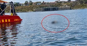 Imagem ilustrativa da notícia VÍDEO: Corpo de jovem que caiu de jet ski é achado no lago de Tucuruí