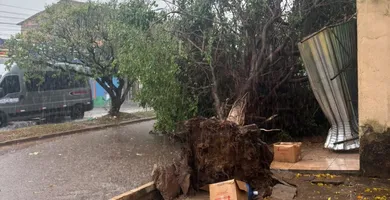 Imagem ilustrativa da notícia Vídeo: Temporal causa quedas e danos em vários pontos de Marabá