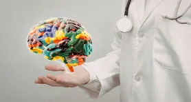 Imagem ilustrativa da notícia Ciência recupera atividade em cérebro congelado pela 1ª vez