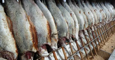 Imagem ilustrativa da notícia Semana Santa: saiba como identificar o peixe legítimo e evitar riscos