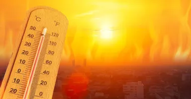 Imagem ilustrativa da notícia Relatório da ONU alerta para alta na temperatura globa