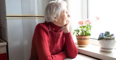 Imagem ilustrativa da notícia Envelhecido e independente: o novo perfil populacional do Pará