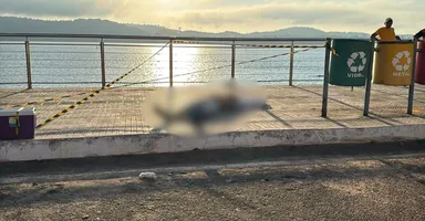 Imagem ilustrativa da notícia Homem é morto a tiros no cais de Tucuruí; suspeito é preso