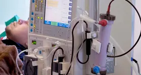 Imagem ilustrativa da notícia Brasil enfrenta subdiagnóstico de doença renal, alerta estudo