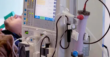 Imagem ilustrativa da notícia Brasil enfrenta subdiagnóstico de doença renal, alerta estudo
