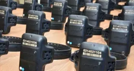 Imagem ilustrativa da notícia Nova lei determina uso imediato de tornozeleira para agressores