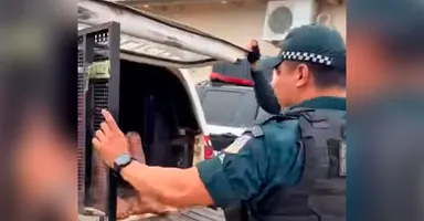 Imagem ilustrativa da notícia Vizinhos salvam mulher de tentativa de feminicídio; veja