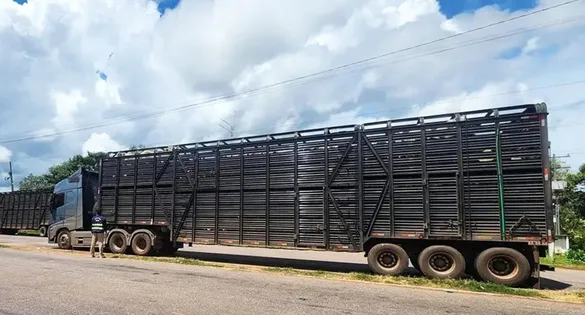 Carreta carregada de gado foi liberada após regularização
